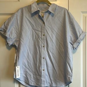 Aritzia Denim Forum Indigo Pinstripe Button Down